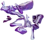 cabbage image