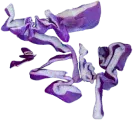 cabbage image