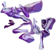 cabbage image