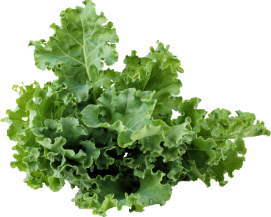 kale image