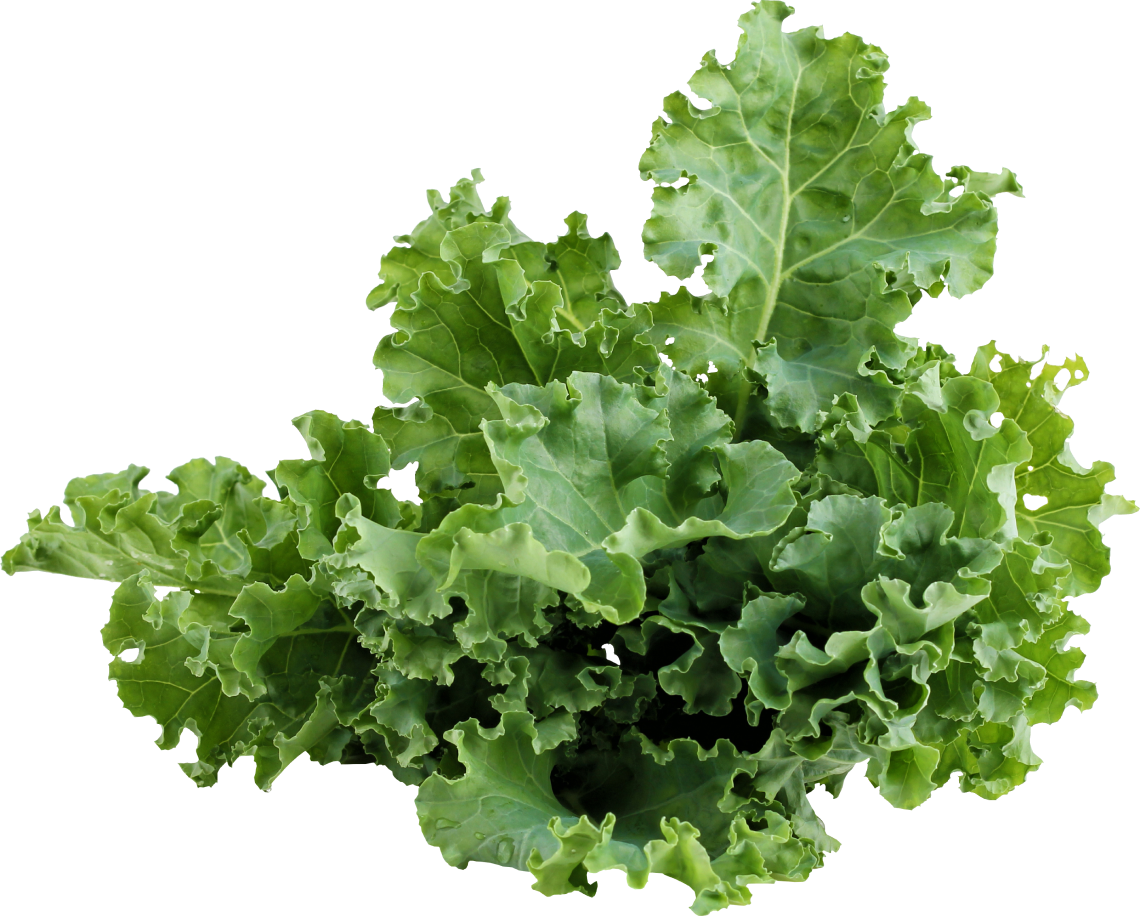 kale image