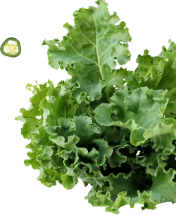 veggies image