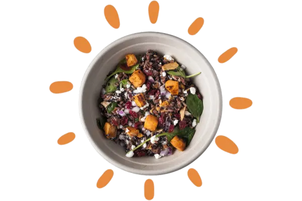 Roots Bowl - Roots Natural Kitchen