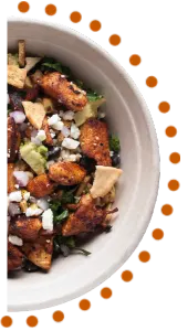 Catering Services of Natural Foods