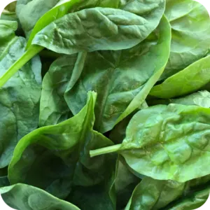 Spinach