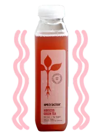hibiscus tea