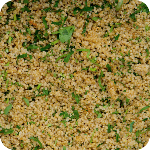 Quinoa